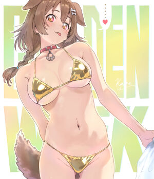 1girl animal_collar animal_ears arm_behind_back bikini bone_hair_ornament braid breasts brown_eyes brown_hair collar commentary_request dog_ears dog_girl dog_tail double-parted_bangs epicrodmad gold_bikini golden_week groin hair_ornament heart highres holding hololive inugami_korone light_blush long_hair looking_at_viewer low_twin_braids medium_breasts navel solo stomach swimsuit tail text_background thigh_gap tongue tongue_out twin_braids virtual_youtuber