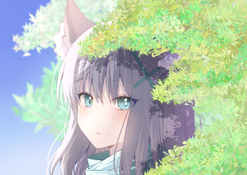 1girl animal_ear_fluff animal_ears aqua_scarf aro_1801 blue_archive blue_eyes blue_sky blush commentary cross_hair_ornament day gradient_sky grey_hair hair_between_eyes hair_ornament highres leaf long_hair looking_at_viewer mismatched_pupils outdoors portrait pout scarf shiroko_(blue_archive) sidelocks sky solo tree wolf_ears