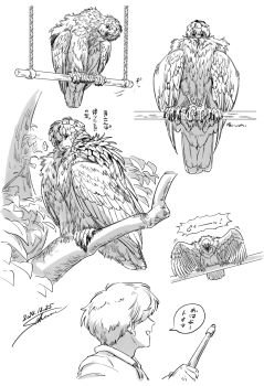... 2boys bell7545 borrowed_character branch commission dated feather_hair feathered_wings feathers greyscale harpy_boy head_tilt leaf monochrome monster_boy multiple_boys original perching signature simple_background skeb_commission spoken_ellipsis spread_wings talons wings
