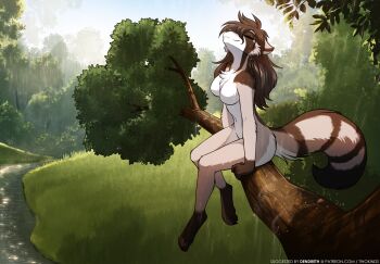 1girl ahoge animal_ears animal_feet animal_nose branch breasts brown_hair commentary completely_nude english_commentary fan_request furry furry_female grass highres in_tree long_hair medium_breasts multicolored_fur no_nipples nude original outdoors raccoon_ears raccoon_girl raccoon_tail rain river scenery sitting sitting_in_tree smile snout solo tail tom_fischbach tree