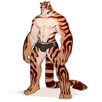1boy abs animal_ears bara black_male_underwear blue_eyes briefs bulge claws commentary english_commentary full_body furry furry_male highres large_hands large_pectorals looking_at_viewer male_focus male_underwear mature_male muscular muscular_male navel navel_hair nipples orange_fur original pectorals short_hair solo standing stomach tail thick_eyebrows thick_thighs thighs tiger_boy tiger_ears tiger_tail topless_male underwear underwear_only wincalblanke