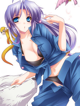 1girl bird blue_eyes breasts cleavage dog female_focus highres long_hair monety monkey open_clothes open_fly open_pants open_shirt original pants purple_hair shirt sleeves_rolled_up solo unzipped