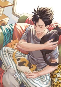 Rule 34 | 1boy, achichi ovo, animal, animal on shoulder, arm up, black cat, black hair, blanket, calico (pattern), calico cat, cat, cat on shoulder, cat tower, closed eyes, closed mouth, collarbone, commentary, couch, crossed legs, grey cat, grey shirt, haikyuu!!, hashtag-only commentary, highres, indian style, kuroo tetsurou, male focus, multicolored cat, multiple cats, pajamas, pillow, shirt, short hair, short sleeves, sitting, sitting on lap, sitting on person, smile, solo, striped clothes, striped pajamas, t-shirt, vertical-striped clothes, vertical-striped pajamas, window