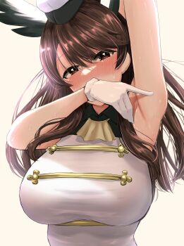 1girl absurdres animal_ears bird_ears bird_girl blush brave_witches breasts brown_eyes brown_hair commentary_request hat highres karibuchi_takami large_breasts liar_lawyer long_hair shirt simple_background solo upper_body white_shirt world_witches_series