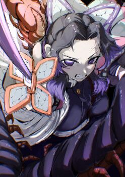 1girl bug centipede commentary_request demon_slayer_uniform highres holding holding_sword holding_weapon incest japanese_clothes kimetsu_no_yaiba kochou_shinobu multicolored_hair purple_eyes sword teeth thenami veins weapon