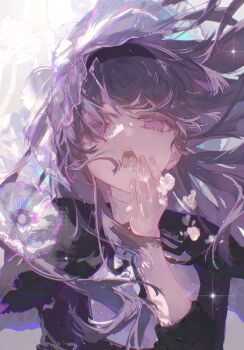 1girl absurdres akemi_homura akemi_homura_(black_dress) black_capelet black_dress black_hairband black_ribbon capelet chinese_commentary commentary_request dress eiki- floating_hair flower flower_in_mouth frilled_capelet frills hairband hand_to_own_mouth hand_up highres long_hair looking_at_viewer mahou_shoujo_madoka_magica mahou_shoujo_madoka_magica_(anime) open_mouth portrait purple_eyes purple_hair ribbon solo veil