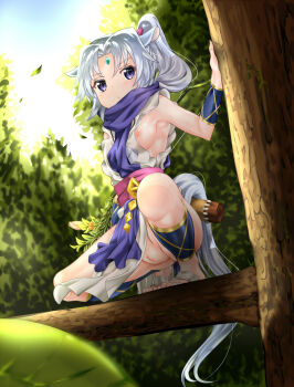 Rule 34 | 10s, 1girl, animal ears, barefoot, bow (weapon), bracer, breasts, clitoris, day, dog days, feet, female focus, forehead jewel, gold trim, horse ears, horse girl, horse tail, in tree, nipple slip, nipples, no bra, no panties, outdoors, ponytail, purple eyes, pussy, quiver, scarf, serakoutarou, sharu (dog days), silver hair, small breasts, solo, tabard, tail, toes, tree, uncensored, weapon