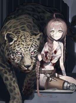 Rule 34 | 1girl, absurdres, ahoge, amputee, animal, bandaged chest, bandages, blood, blood on face, bloody bandages, braid, breasts, brown hair, commission, copyright request, hair between eyes, hair intakes, highres, injury, k hottok, leopard, long hair, parted lips, prosthesis, prosthetic leg, sitting, small breasts, thighhighs, very long hair, wariza, yellow eyes, zettai ryouiki