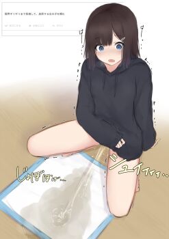 Rule 34 | 1girl, arm support, barefoot, black hoodie, blue eyes, blush, bottomless, breath, brown hair, clothes lift, hair ornament, hairclip, heavy breathing, highres, hood, hoodie, hoodie lift, kanekan, long sleeves, looking down, open mouth, original, partially translated, pee pad, peeing, puddle, relief, short hair, squatting, steam, sweat, tears, translation request, trembling