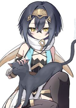 Rule 34 | 1girl, absurdres, amber (stella sora), bare shoulders, black cat, black gloves, black hair, black thighhighs, breasts, cat, cleavage, commentary request, facing viewer, fingerless gloves, gloves, hair between eyes, highres, looking at animal, petting, re yu 0099, sideless dress, simple background, sleeveless, smile, solo, stella sora, thighhighs, twitter username, white background, yellow eyes