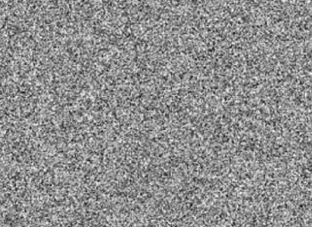 1girl 2boys animated animated_gif arms_behind_back artist_request bdsm blush bondage bound braid camera censored chain death decapitation door dress guro heart hook incision knife monochrome multiple_boys mutilation organs pain recording sex short_dress sketch spoken_heart static thighhighs time_lapse torture vvindowsme