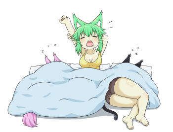 3girls animal_ears arms_up artist_self-insert ass bad_id bad_pixiv_id barefoot black_shorts blush breasts cat_ears cat_girl cat_tail closed_eyes collarbone commentary green_hair greenteaneko greenteaneko-chan hair_between_eyes highres medium_breasts multiple_girls open_mouth original pillow shadow short_shorts shorts soles stretching tail tank_top tears under_covers white_background yellow_tank_top zzz