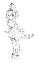 Rule 34 | animal ear fluff, animal ears, armpit crease, bare shoulders, bob cut, bow, bowtie, breasts, closed mouth, elbow gloves, extra ears, eyebrows hidden by hair, full body, gloves, graphite (medium), hair between eyes, high-waist skirt, kemono friends, light blush, medium breasts, medium hair, miniskirt, monochrome, patterned legwear, print bow, print bowtie, print gloves, print skirt, print thighhighs, serval (kemono friends), serval print, shirt, shoes, sidelocks, sketch, skirt, sleeveless, sleeveless shirt, striped tail, tail, thighhighs, traditional media, zekkyou (h9s9), zettai ryouiki