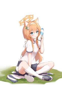 Rule 34 | 1girl, absurdres, animal ear fluff, animal ears, blue archive, blue eyes, blush, bottle, flower, gym uniform, hair flower, hair ornament, hairband, halo, highres, holding, holding bottle, indian style, jacket, kneehighs, long hair, looking at viewer, mari (blue archive), mari (track) (blue archive), official alternate costume, orange hair, shirayui (shirakawaui), shirt, shoes, shorts, simple background, sitting, sneakers, socks, solo, track jacket, water bottle, white background, white flower, white hairband, white shirt, white socks, yellow halo