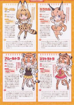 4girls caracal_(kemono_friends) full_body kemono_friends kemono_friends_2 looking_at_viewer multiple_girls official_art serval_(kemono_friends) siberian_tiger_(kemono_friends) simple_background sumatran_tiger_(kemono_friends) yoshizaki_mine