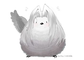 animal_focus animalization bird black_eyes commentary_request feathered_wings final_fantasy final_fantasy_vii fluffy full_body grey_bird grey_hair hair_intakes hattouissenbaka light_blush long_hair no_humans notice_lines parted_bangs sephiroth single_wing twitter_username white_background wings