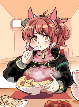 1girl :t ahoge animal_ears black_jacket bowl brown_eyes brown_hair closed_mouth commentary_request dantsu_flame_(umamusume) dinoyhs drawstring eating food fried_rice highres holding holding_bowl holding_spoon horse_ears indoors jacket long_sleeves looking_at_viewer pink_shirt plastic_spoon ponytail puffy_long_sleeves puffy_sleeves shirt solo spoon television umamusume upper_body