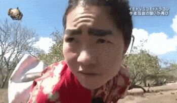 1girl animal animated animated_gif bait baiting clothes_lift dress dress_lift eyebrows imoto_ayako japanese_clothes kimono komodo_dragon lizard looking_back lowres no_shoes photo_(medium) rope running socks