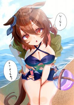 1girl agnes_tachyon_(lunatic_lab)_(umamusume) agnes_tachyon_(umamusume) animal_ears beach bikini black_bikini blush breasts brown_hair cleavage criss-cross_halter disney_o626 ear_ornament flask green_jacket hair_between_eyes halterneck highres horse_ears horse_girl horse_tail jacket large_breasts looking_at_viewer medium_hair official_alternate_costume open_clothes open_mouth open_shorts outdoors red_eyes round-bottom_flask shorts solo stomach swimsuit tail test_tube thighs tied_jacket umamusume water