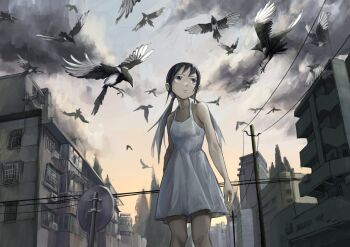 1girl absurdres bin_jiang bird black_hair commentary dress highres low_twintails magpie original power_lines too_many too_many_birds twintails white_dress