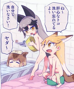 10s 3girls animal_ears bad_id bad_pixiv_id bathing bathroom black_hair blonde_hair brown_hair capybara_(kemono_friends) closed_eyes convenient_censoring ezo_red_fox_(kemono_friends) hori_(hori_no_su) kemono_friends manatsu_no_yo_no_inmu multicolored_hair multiple_girls nude partially_submerged silver_fox_(kemono_friends) sitting tail towel towel_on_head towel_on_legs translated washpan wet yellow_eyes