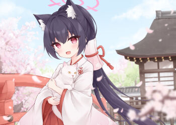 1girl :d animal_ears blue_archive blue_hair cat cat_ears cat_girl commentary_request hakama hakama_skirt halo highres japanese_clothes kimono long_hair long_sleeves looking_at_viewer miko mochizuki_riku official_alternate_costume open_mouth outdoors pink_eyes pink_halo ponytail red_hakama serika_(blue_archive) serika_(new_year)_(blue_archive) skirt smile solo white_kimono wide_sleeves