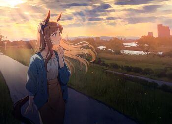 1girl absurdres animal_ears blue_bow blue_cardigan blue_eyes bow brown_hair brown_skirt buttons cardigan casual closed_mouth cloud ear_bow grass grass_wonder_(umamusume) highres horse_ears horse_girl horse_tail long_hair long_sleeves looking_ahead nyum orange_sky outdoors road road_sign shirt sign skirt sky smile solo tail third-party_source tree twilight umamusume white_shirt