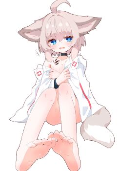 1girl absurdres ahoge animal_ears arknights barefoot choker coat feet flying_sweatdrops fox_ears fox_girl fox_tail grey_hair highres knees_up long_sleeves looking_at_viewer material_growth naked_coat open_mouth oripathy_lesion_(arknights) rano_u_rabe short_hair simple_background sitting soles solo sussurro_(arknights) tail toes white_coat