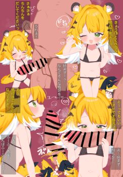 1boy 1girl animal_ears bar_censor bikini black_bikini blonde_hair censored commentary_request erection flat_chest green_eyes hetero highres ju_fufu loli multicolored_hair navel paid_reward_available penis swimsuit tail tiger_ears white_hair zenless_zone_zero zeru_(wisel_army)