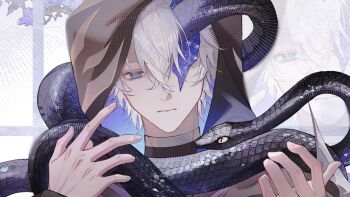 1boy black_cloak blue_eyes cloak commentary flame_reaver_of_the_deepest_dark highres honkai:_star_rail honkai_(series) hood hood_up hooded_cloak male_focus parted_bangs phainon_(honkai:_star_rail) short_hair snake snake_wrapped_around_body solo wan_xiaoliya white_hair