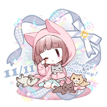 1girl animal artist_request blue_shorts blunt_bangs blush brown_cat cat chibi chibi_only coat commentary_request gingham_ribbon grey_cat grey_ribbon happy_birthday highres holding holding_animal holding_cat hood hooded_coat ikizulive!_love_live!_bluebird love_live! official_art one_eye_closed open_clothes open_coat parted_lips pink_coat sasaki_shion shorts sitting solo striped_clothes striped_shorts wariza |_|