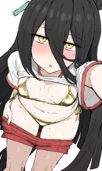 1girl absurdres animal_ears bikini black_hair breasts clothes_pull gold_bikini golden_week gym_shirt hair_between_eyes highres horse_ears horse_girl horse_tail kumiyabe long_hair looking_at_viewer manhattan_cafe_(umamusume) red_shorts shirt shorts shorts_pull simple_background small_breasts solo sweat swimsuit tail thighs umamusume white_background white_shirt yellow_eyes