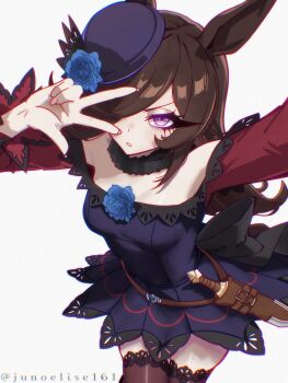 Rule 34 | 1girl, absurdres, animal ears, bare shoulders, black thighhighs, blue dress, blue flower, blue hat, blue rose, blush, breasts, brown hair, collarbone, commentary, dagger, dress, english commentary, flipped hair, flower, fur choker, hair over one eye, hat, hat flower, highres, horse ears, horse girl, horse tail, junoelise161, knife, long hair, long sleeves, looking at viewer, medium breasts, off-shoulder dress, off shoulder, parted lips, purple eyes, rice shower (rosy dreams) (umamusume), rice shower (umamusume), rose, sheath, sheathed, solo, tail, thighhighs, tilted headwear, umamusume, w, weapon