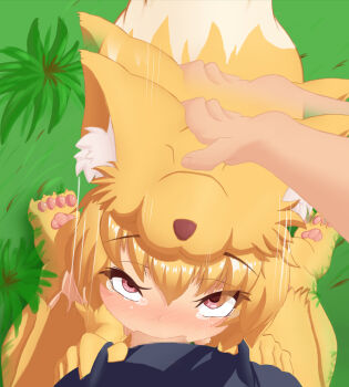 Rule 34 | 1boy, 1girl, aki 32, animal feet, animal hands, blonde hair, blush, censored, commentary request, fellatio, fox girl, fox hat, fox tail, full body, grass, hand on another's head, hetero, highres, irrumatio, looking at viewer, moonlight flower, mosaic censoring, nose blush, oral, penis, pov, pov crotch, ragnarok online, red eyes, short hair, solo focus, tail, tearing up, upturned eyes, variant set