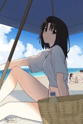 Rule 34 | 1girl, 2girls, alternate costume, basket, beach, black hair, brown eyes, closed mouth, commentary request, expressionless, family, father and daughter, glasses, hair over one eye, highres, husband and wife, kara no kyoukai, kokutou mikiya, long hair, looking at viewer, male swimwear, midriff, mother and daughter, multiple girls, navel, one-piece swimsuit, one eye covered, outdoors, parted bangs, ryougi mana, ryougi shiki, sand, sand castle, sand sculpture, shintyoi2, shirt, short hair, sitting, swim trunks, swimsuit, topless male, white one-piece swimsuit