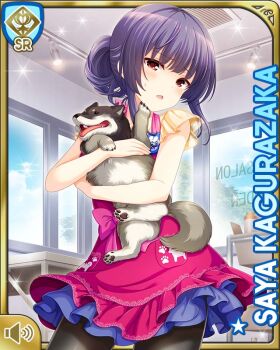 1girl :o apron blue_hair brown_eyes card_(medium) character_name day dog frilled_skirt frills girlfriend_(kari) indoors kagurazaka_saya long_hair official_art open_mouth pink_apron purple_skirt qp:flapper shirt skirt standing store tagme yellow_shirt