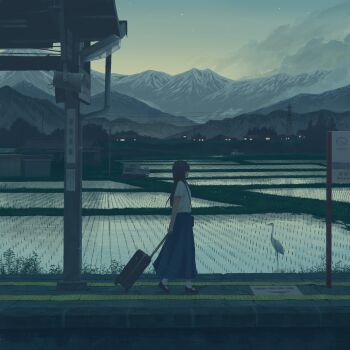 1girl bird black_hair black_shoes blue_skirt commentary_request from_side gensuke_(ryun) goose highres indoors kei_truck long_hair long_skirt mary_janes motor_vehicle mountainous_horizon original outdoors pickup_truck power_lines rice_paddy rolling_suitcase rural scenery shirt shoes short_sleeves skirt socks solo standing suitcase train_station transmission_tower truck water white_shirt white_socks