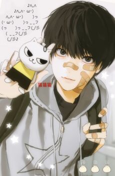 1boy absurdres backpack bag bandaid bandaid_on_cheek bandaid_on_face bandaid_on_finger bandaid_on_hand bandaid_on_nose black_eyes black_hair closed_mouth doll gin_(euneunun) grey_hoodie highres holding holding_doll holding_strap hood hood_down hoodie light_smile looking_at_viewer male_focus original short_hair solo translation_request upper_body zipper_pull_tab