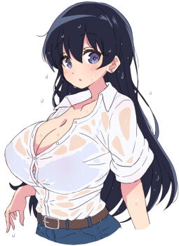 1girl arato_nagi belt black_hair blue_pants bra_visible_through_clothes breasts brown_belt button_gap collared_shirt commentary_request cropped_legs denim highres jeans large_breasts long_hair looking_at_viewer mel_(melty_pot) pants purple_eyes ruri_no_houseki shirt short_sleeves simple_background solo wet wet_clothes wet_shirt white_background