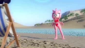 3d amy_rose animated ass bad_tag bare_legs barefoot beach bent_over day feet green_eyes hitmarker2nsfw legs_up leotard medium_hair ocean pink_fur pink_hair posing_for_viewer pov sega sitting soles sonic_(series) standing swimsuit tagme tail toes top-down_bottom-up video