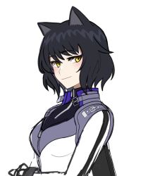 Rule 34 | 1girl, animal ears, black hair, blake belladonna, breasts, cat ears, catsuit, closed mouth, cropped torso, leather suit, light smile, looking at viewer, noratanukimaru, pale skin, rwby, short hair, simple background, tailcoat, white background, white tailcoat, yellow eyes, zipper