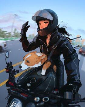 Rule 34 | 1girl, biker clothes, bikesuit, black bodysuit, black gloves, black hair, black helmet, blue sky, bodysuit, brown eyes, day, dog, gloves, helmet, highres, highway, jewelry, long hair, looking ahead, motion blur, motor vehicle, motorcycle, necklace, original, riding, sam yang, sky, solo, welsh corgi