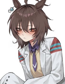 1girl absurdres agnes_tachyon_(tach-nology)_(umamusume) agnes_tachyon_(umamusume) ahoge animal_ears bags_under_eyes blush brown_hair chemical_structure closed_mouth coat collared_shirt earrings hair_between_eyes highres horse_ears horse_girl huge_ahoge jewelry lab_coat long_sleeves looking_at_viewer medium_hair necktie red_eyes shirt short_necktie simple_background single_earring sleeves_past_fingers sleeves_past_wrists solo sweater tyrezal umamusume upper_body white_background white_coat wolf_cut yellow_sweater