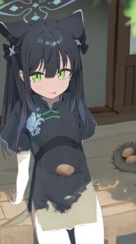 1girl :p absurdres aged_down animal_ears black_dress black_ribbon blue_archive blue_halo blush china_dress chinese_clothes dan_nako dress egg green_eyes hair_between_eyes hair_ribbon halo highres long_hair nest official_alternate_costume official_alternate_hairstyle ribbon short_sleeves shun_(blue_archive) shun_(small)_(blue_archive) side_slit sidelocks sitting solo thighhighs tiger_ears tiger_girl tongue tongue_out white_thighhighs
