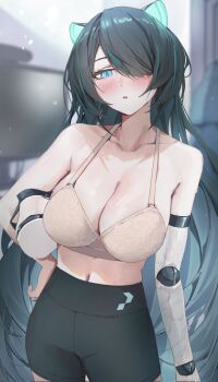 1girl animal_ears black_hair black_shorts blue_eyes blue_hair blush bra breasts cleavage collarbone commentary corrupted_twitter_file english_commentary erina_makina hair_over_one_eye highres long_hair mechanical_arms multicolored_hair navel phase_connect second-party_source shorts single_mechanical_arm solo streaked_hair tiger_ears tiger_girl underwear virtual_youtuber yoellim5