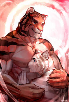 2boys abs animal_ears artist_name bara between_pectorals blue_eyes commentary dog_tags furry furry_male furry_with_furry hand_on_another's_chest hug jewelry large_pectorals looking_at_another male_focus mature_male multiple_boys muscular muscular_male necklace nipples orange_fur original pectorals short_hair smile symbol-only_commentary thick_eyebrows tiger_boy tiger_ears tiger_stripes topless_male upper_body white_fur wincalblanke