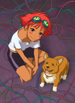 Rule 34 | 1girl, bike shorts, blush, brown fur, cable, cowboy bebop, dark-skinned female, dark skin, dog, edward wong hau pepelu tivrusky iv, ein (cowboy bebop), goggles, goggles on head, indian style, looking at viewer, orange hair, paintpixel, sitting, tomboy, two-tone fur, white fur, wire