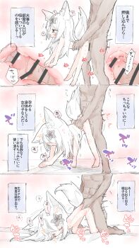 1boy 1girl absurdres animal_ears blush_stickers censored commentary_request flower fox_ears fox_girl fox_tail grey_eyes hair_flower hair_ornament highres iya4160 loli low_wings nemesis_(vrchat) penis pussy simple_background sketch speech_bubble tail translation_request vrchat white_background white_hair wings