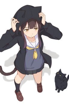 Rule 34 | 1girl, absurdres, animal hood, black jacket, black skirt, black socks, brown eyes, brown hair, brown shoes, cat, cat girl, cat hood, center-flap bangs, collarbone, commentary request, from above, full body, grey shirt, highres, hood, hooded jacket, jacket, kneehighs, loafers, long hair, long sidelocks, long sleeves, mimori (mimori 05), neckerchief, open clothes, open jacket, original, pleated skirt, pout, sailor collar, shadow, shirt, shoes, sidelocks, simple background, skirt, socks, solo, white background, white sailor collar, yellow neckerchief