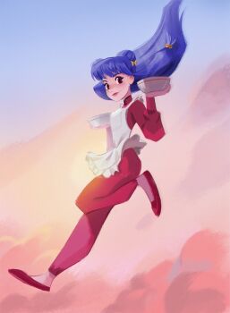 Rule 34 | 1girl, blunt bangs, bowl, closed mouth, commentary, double bun, floating hair, full body, hair bun, highres, holding, holding bowl, leepix x, looking at viewer, outdoors, purple hair, ranma 1/2, red shoes, shampoo (ranma 1/2), shoes, smile, solo, sunset